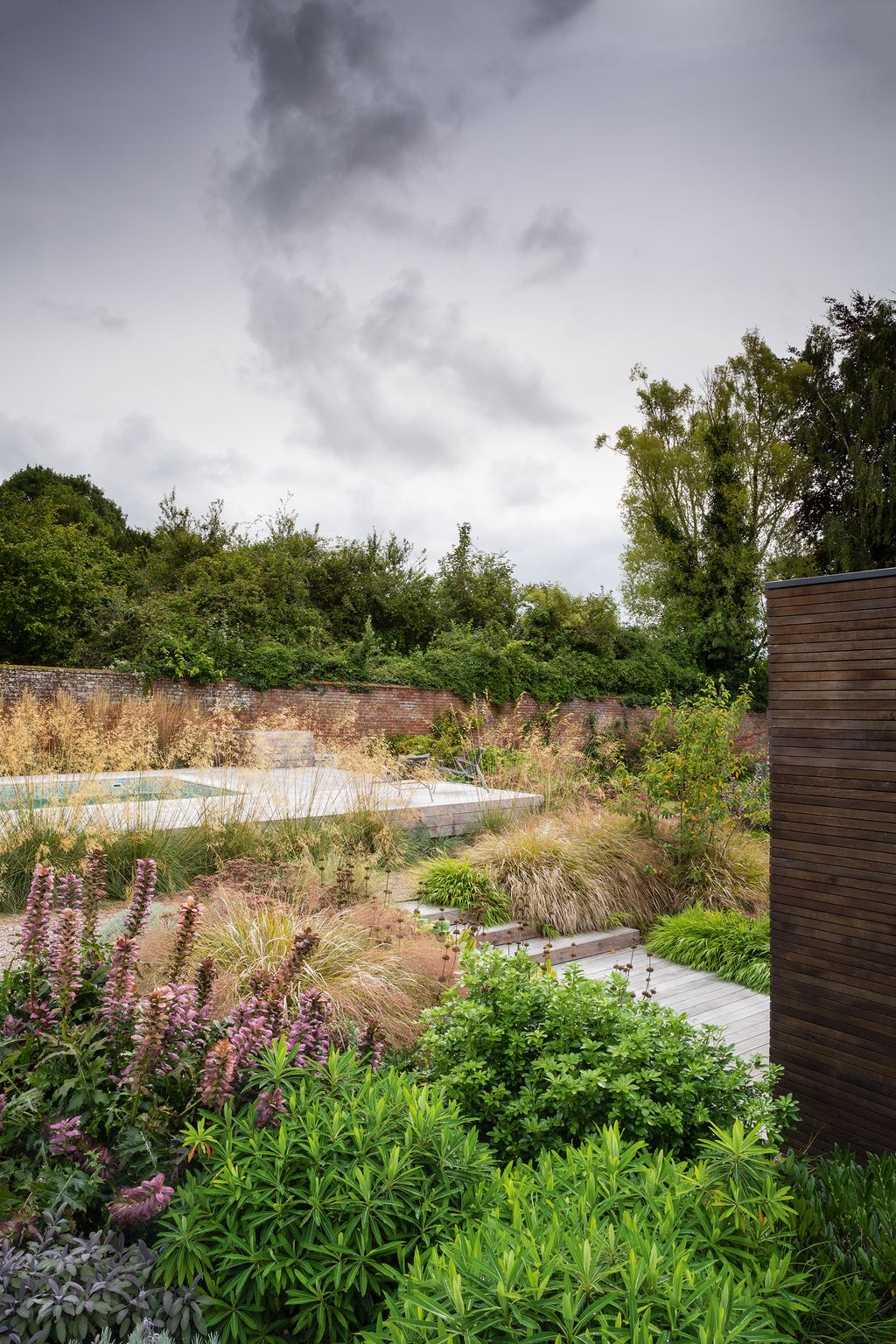 Image may contain Plant Outdoors Flower Lupin Blossom Tree Vase Pottery Potted Plant and Jar