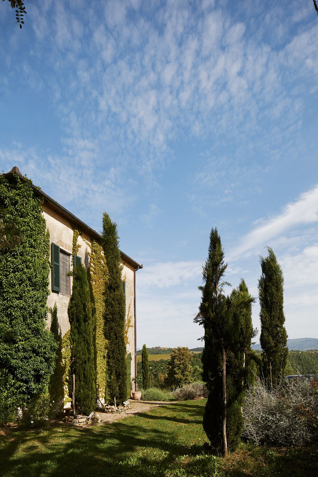 Image may contain Plant Outdoors Tree Vegetation and Nature