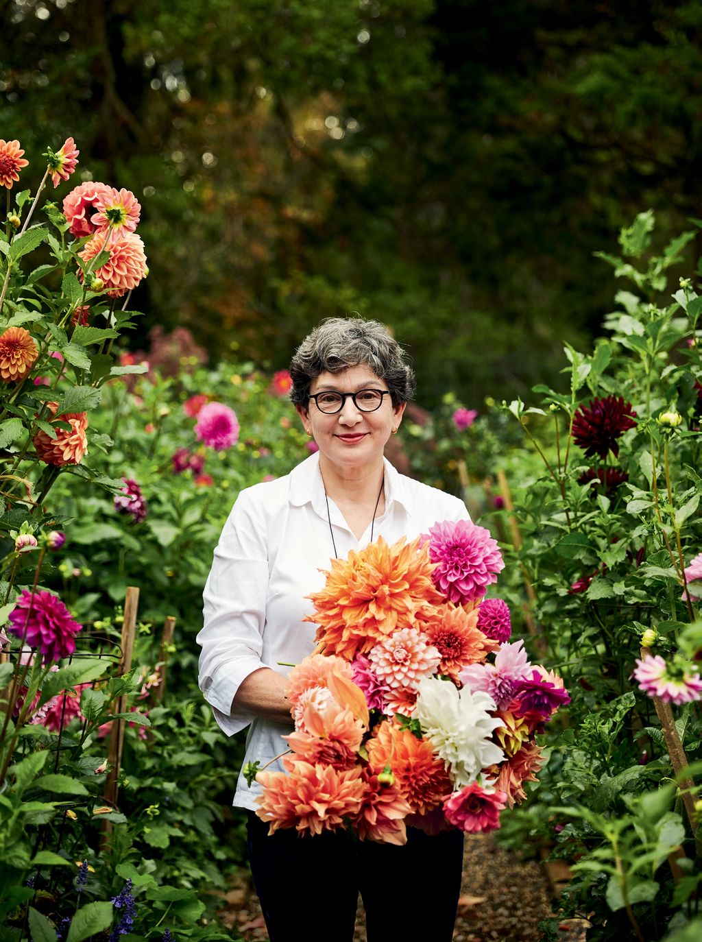 Image may contain Plant Flower Blossom Human Person Flower Bouquet Flower Arrangement Geranium Dahlia and Outdoors