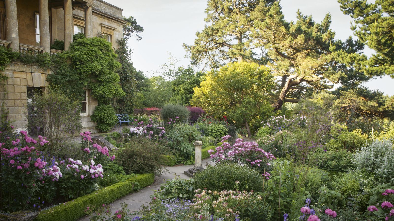 Image may contain: Garden, Outdoors, Arbour, Plant, Flower, Blossom, Human, and Person