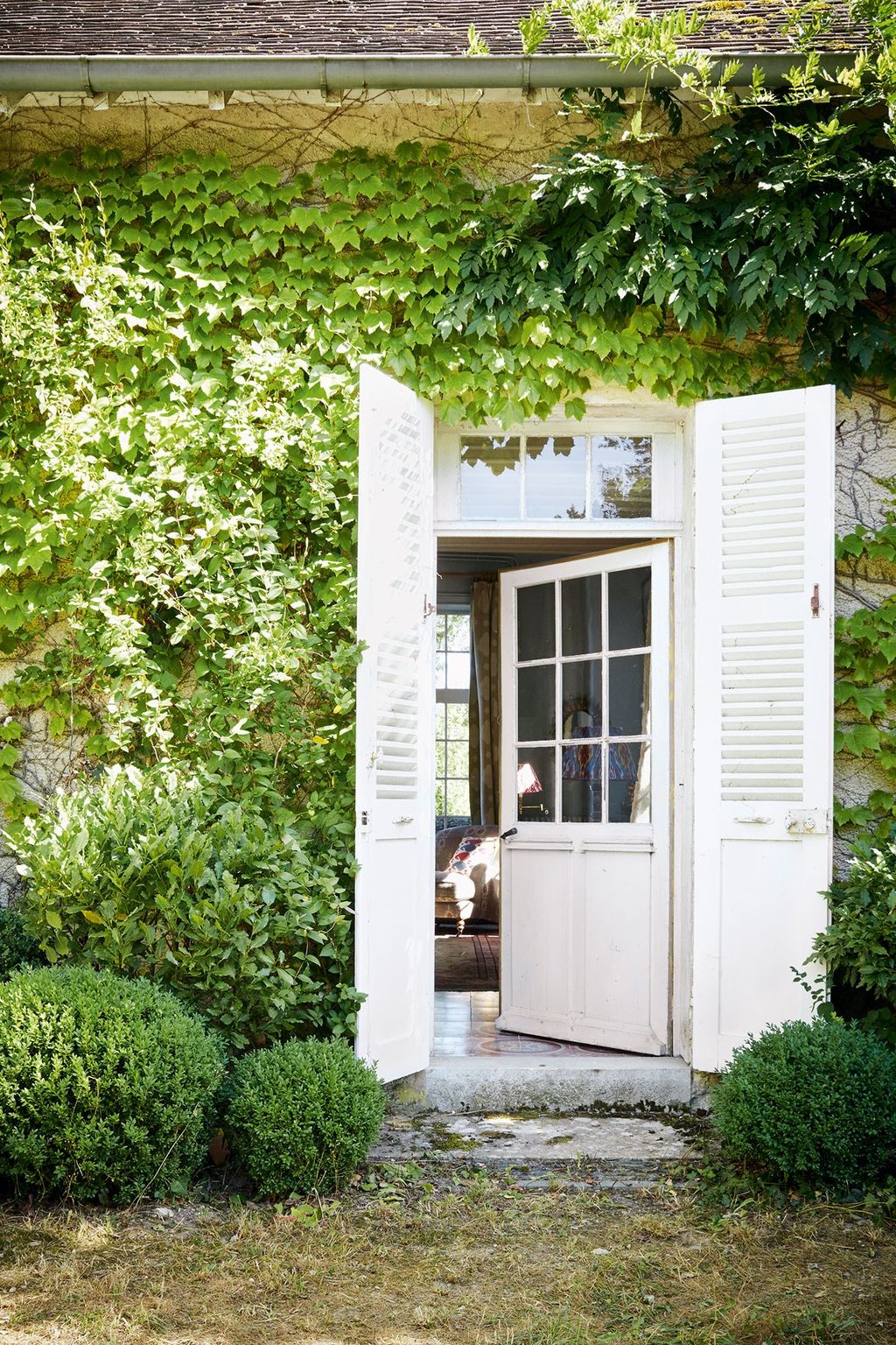 Smart ideas for small gardens