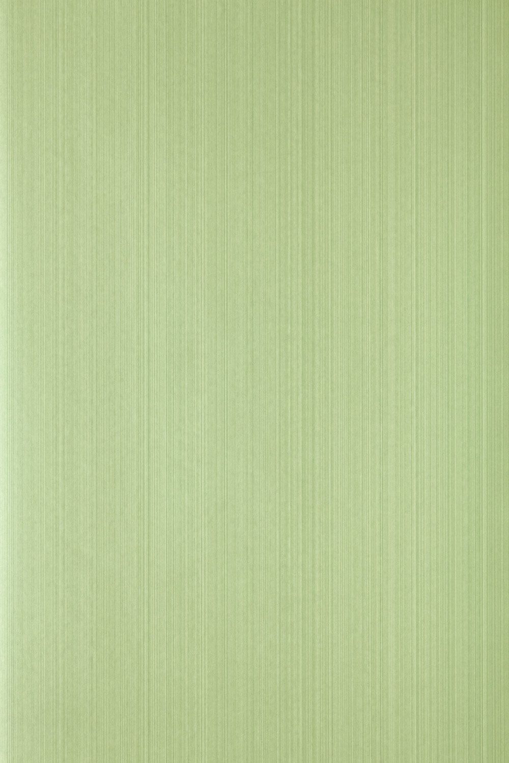 Image may contain Green Rug Furniture Tabletop Wood Texture and Plant