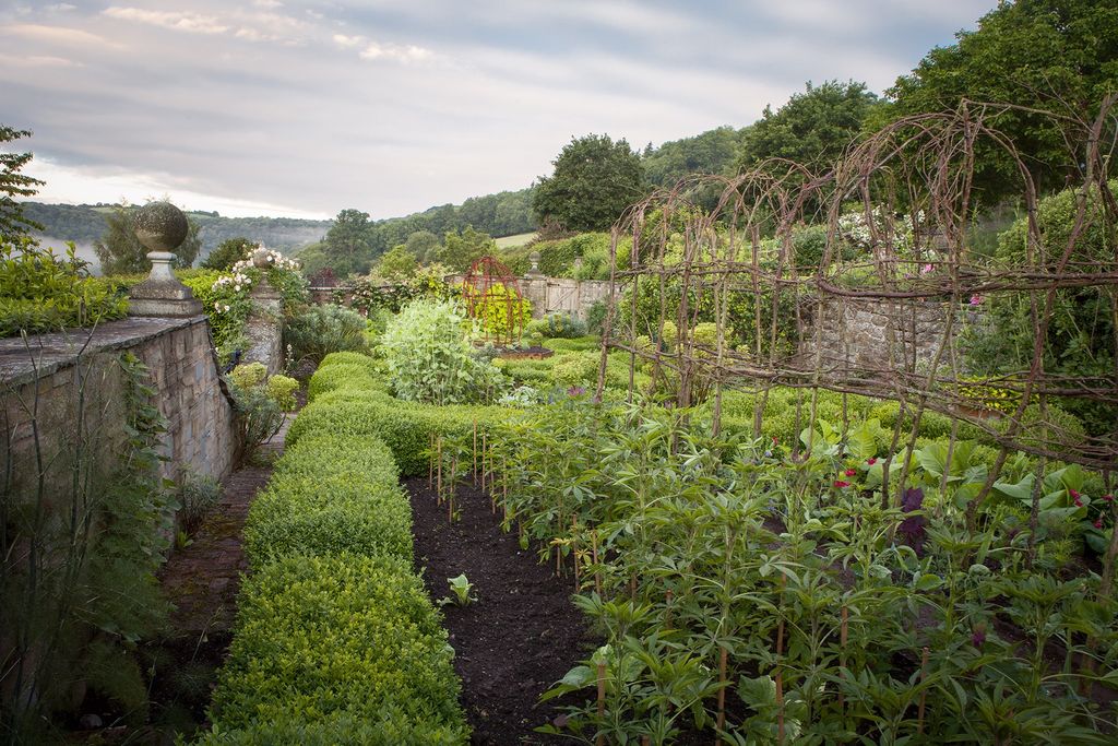 Image may contain Outdoors Garden Arbour and Plant