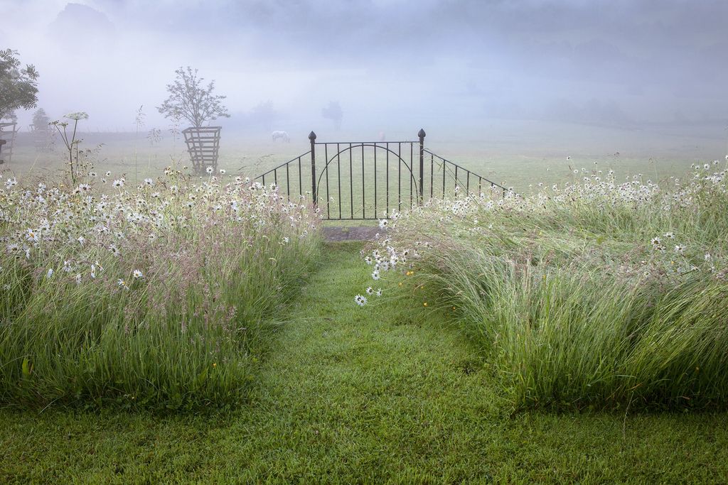 Image may contain Plant Grass Lawn and Field