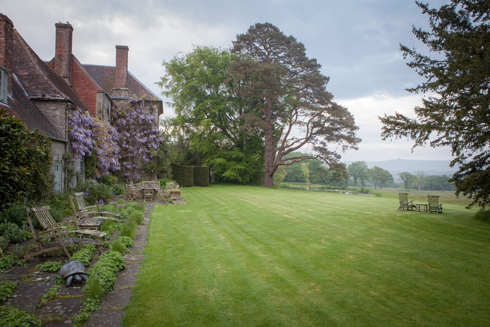 Image may contain Plant Grass Lawn Outdoors Yard and Nature