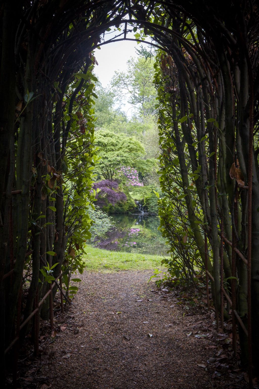 Image may contain Garden Arbour Outdoors Porch and Plant