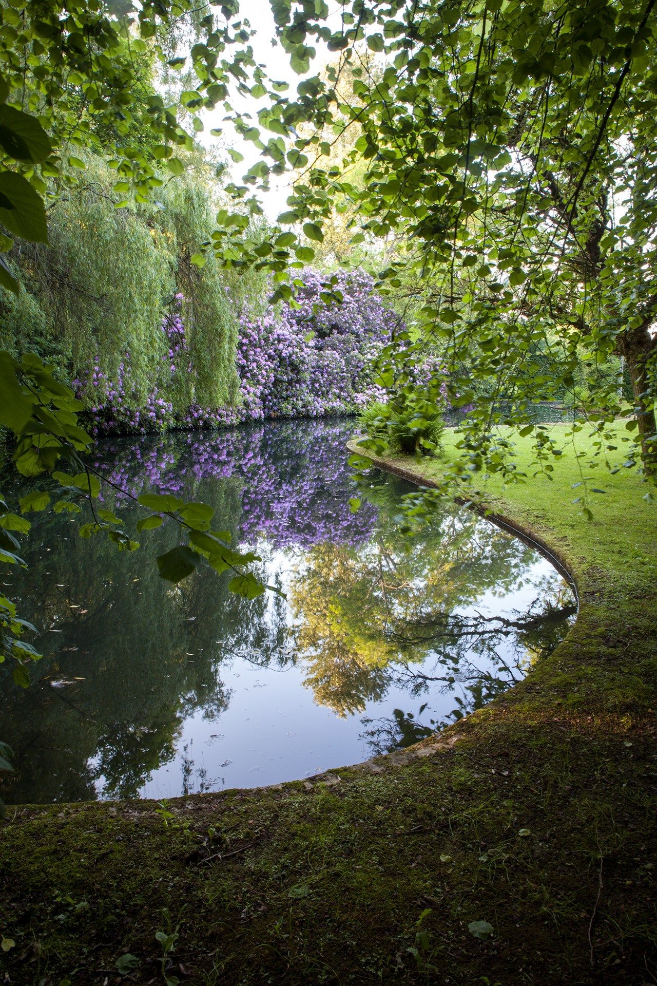 Image may contain Outdoors Water Nature Plant Land and Tree
