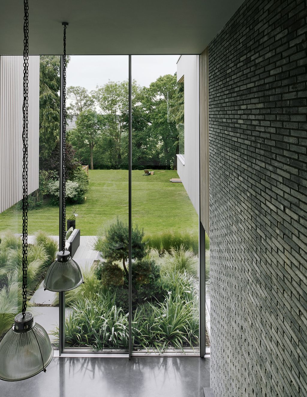 Image may contain Plant and Grass