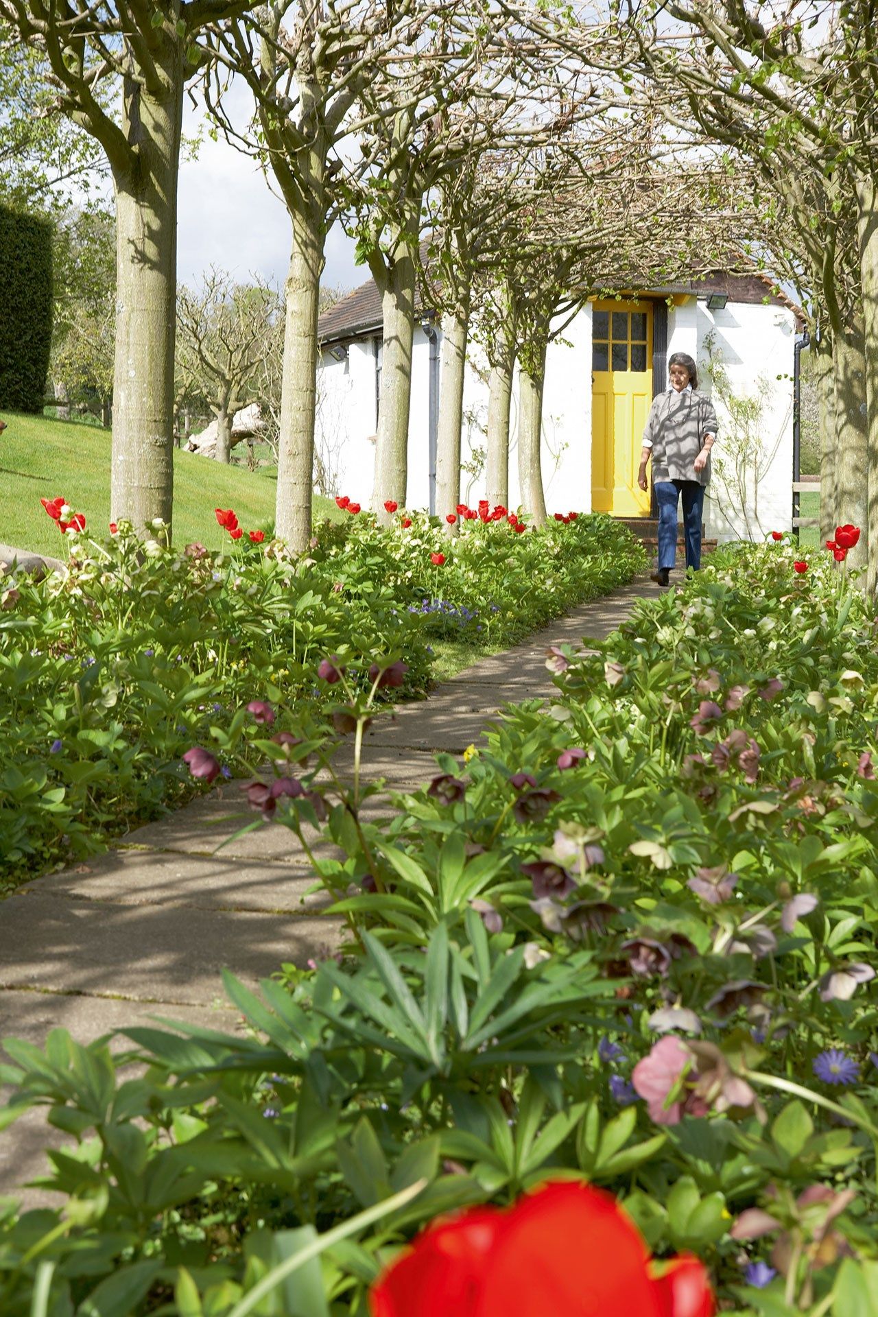 Roald's Hut | Roald Dahl's Home and Museum