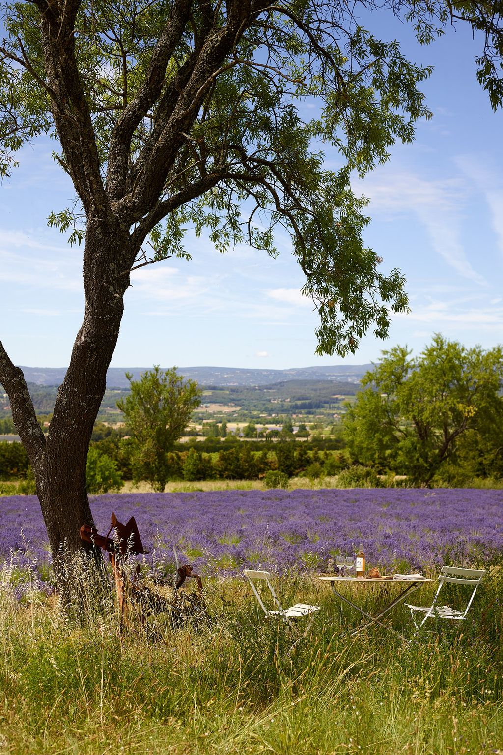 Valley | Provencal House