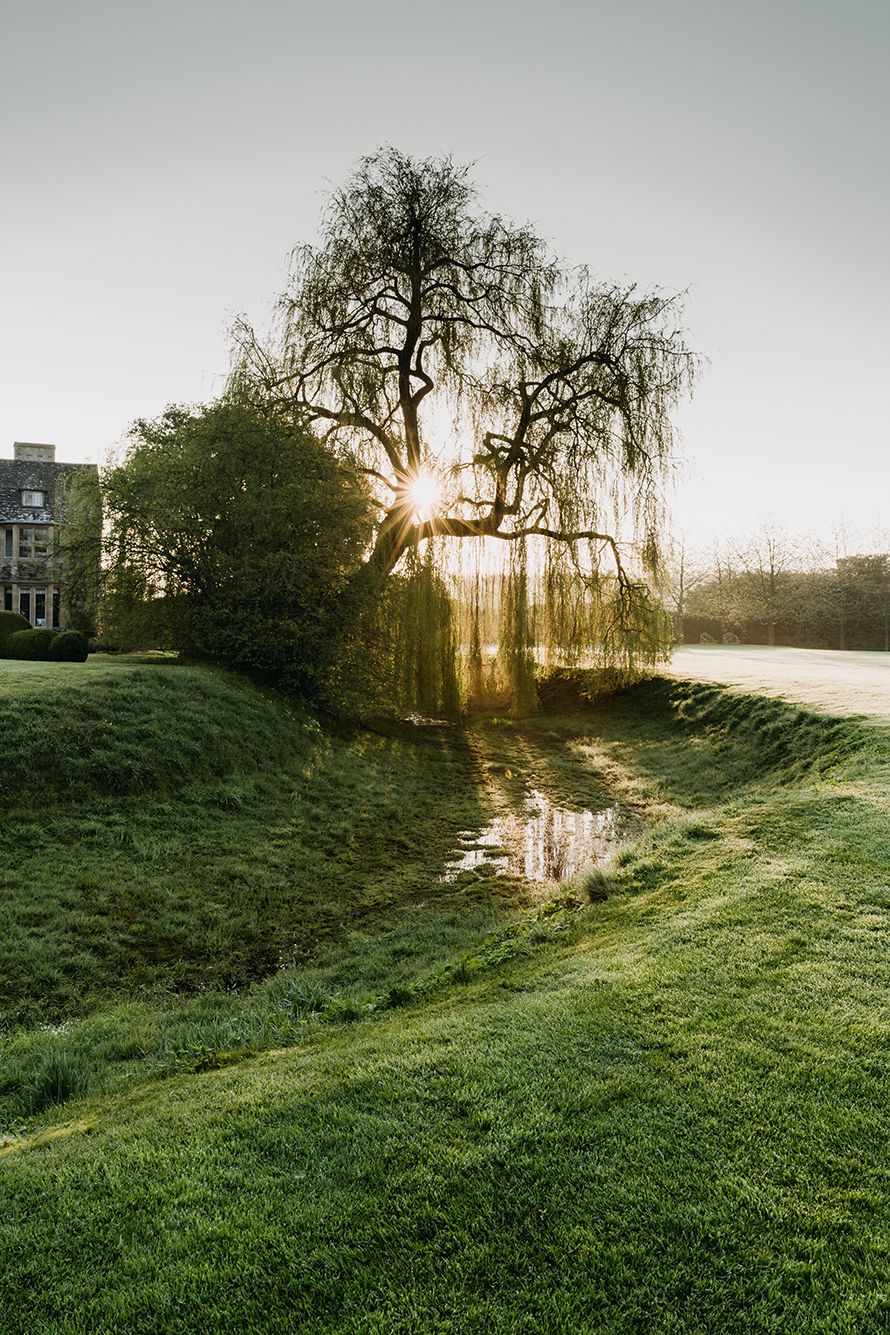 The weeping willow overhangs the dry moat which circles the back of the house with a lawn beyond.
