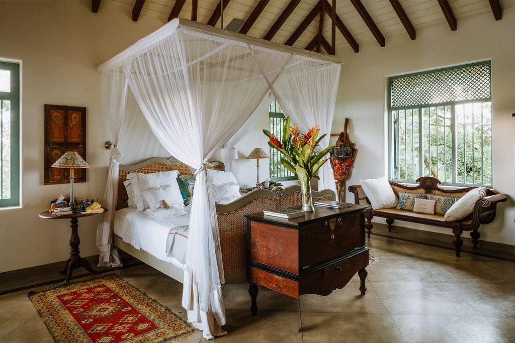 Image may contain Flooring Wood Hardwood Interior Design Indoors Living Room Room Plant Furniture and Plywood