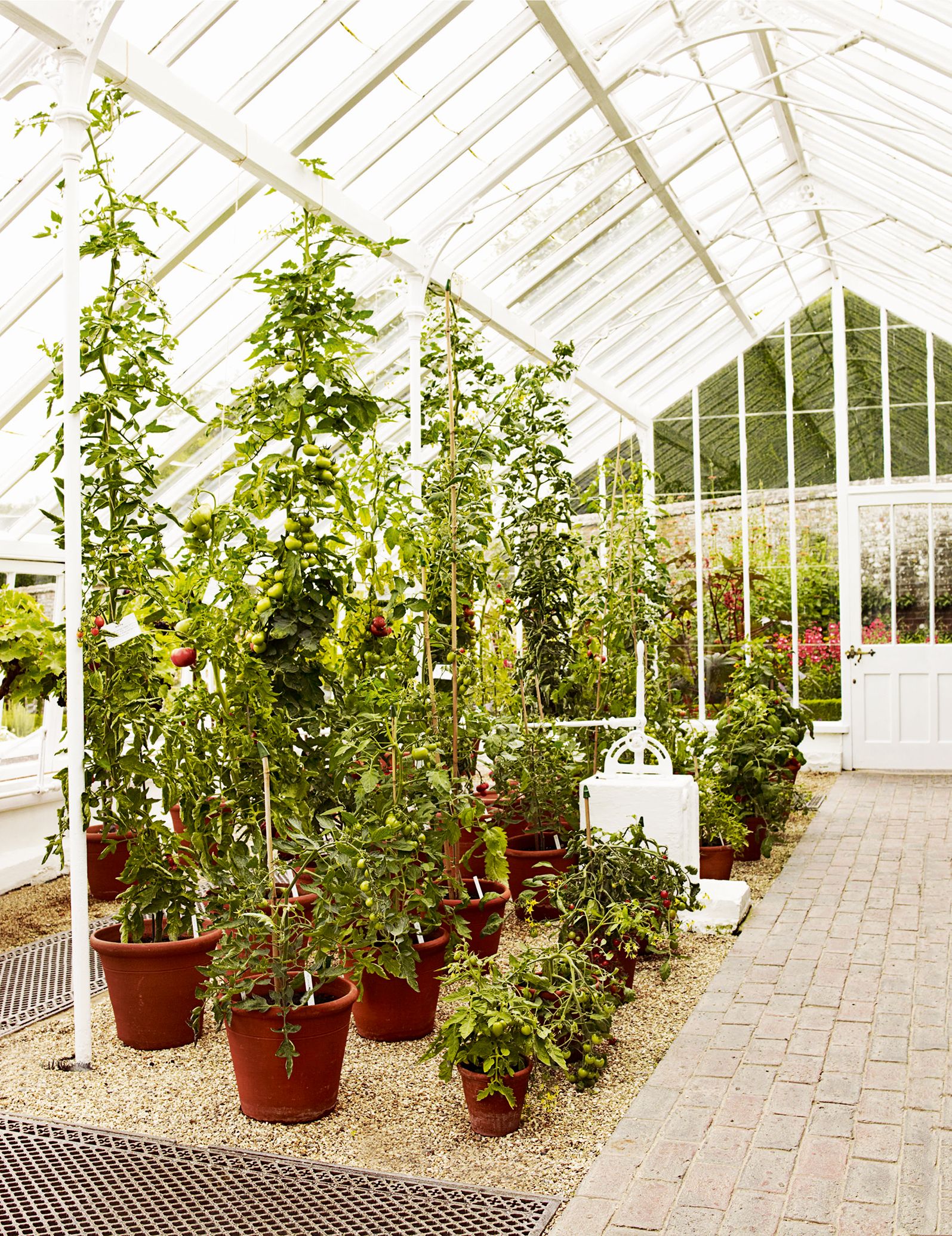 Image may contain Outdoors Greenhouse and Garden
