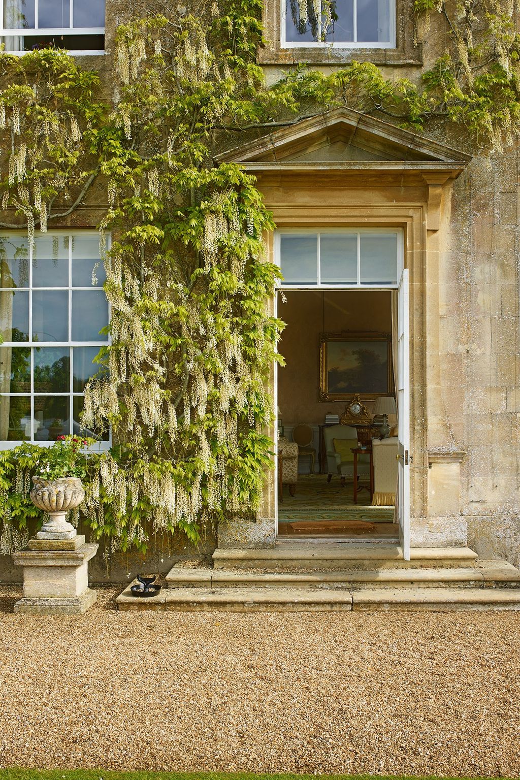 Image may contain Plant and Flagstone