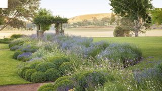 Image may contain Outdoors Plant Nature Field Grassland Flower Blossom and Grass