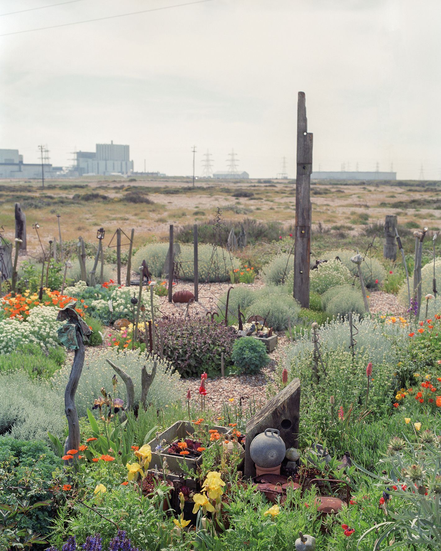 The Garden Museum exhibition on Prospect Cottage