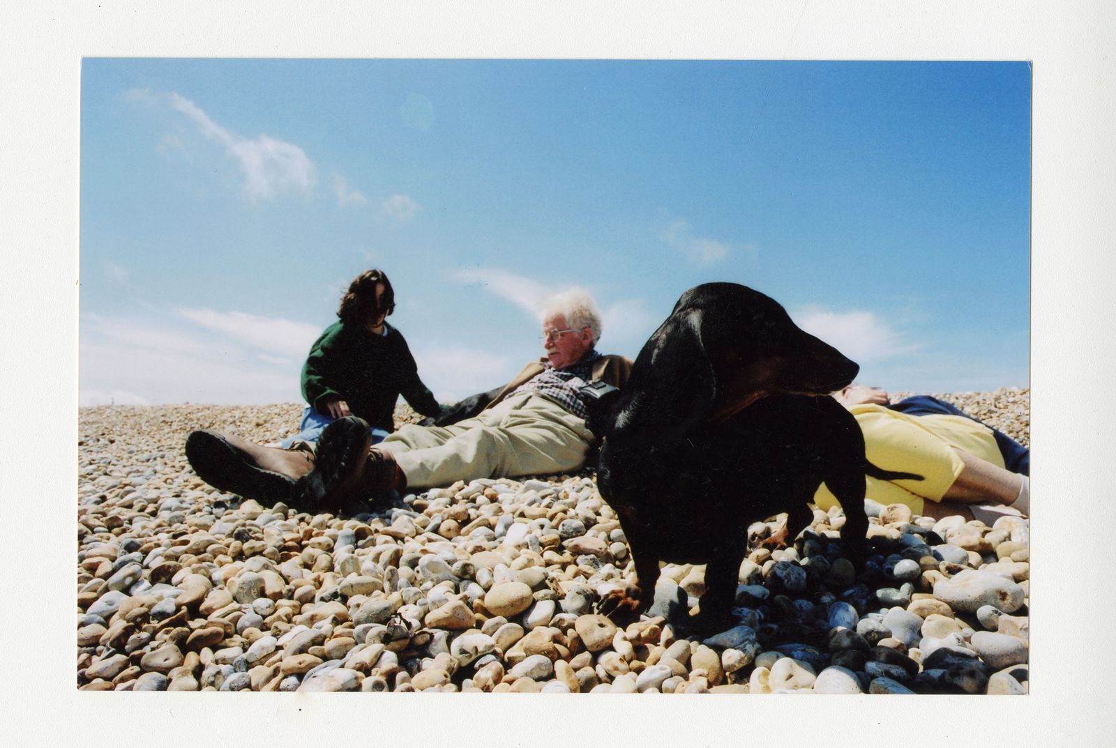 The Garden Museum exhibition on Prospect Cottage