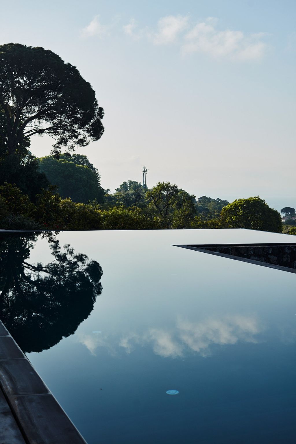 Image may contain Water Outdoors Nature Waterfront Banister Handrail Tree and Plant