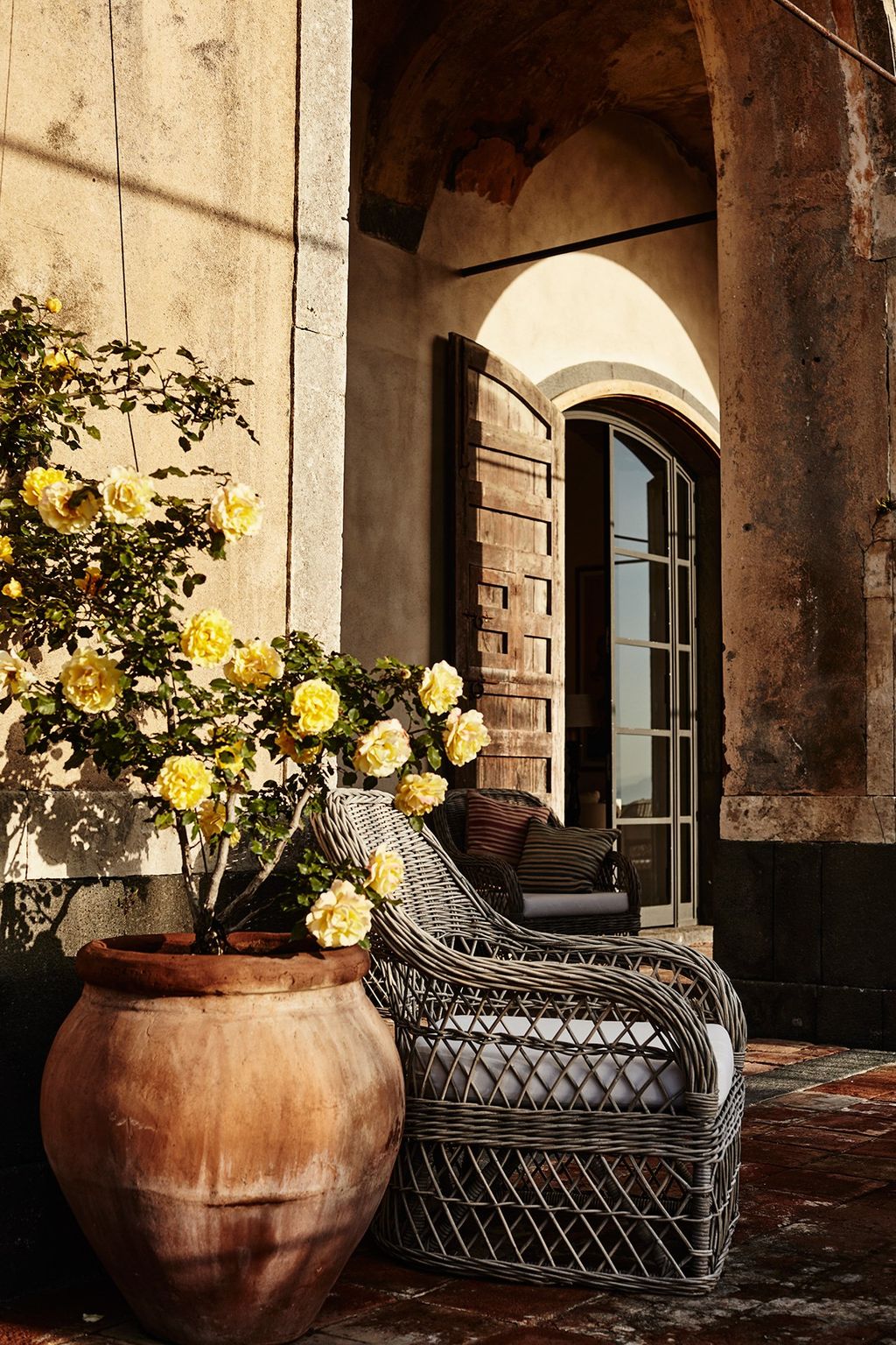 Image may contain Plant Flower Blossom Flower Arrangement Flower Bouquet and Furniture