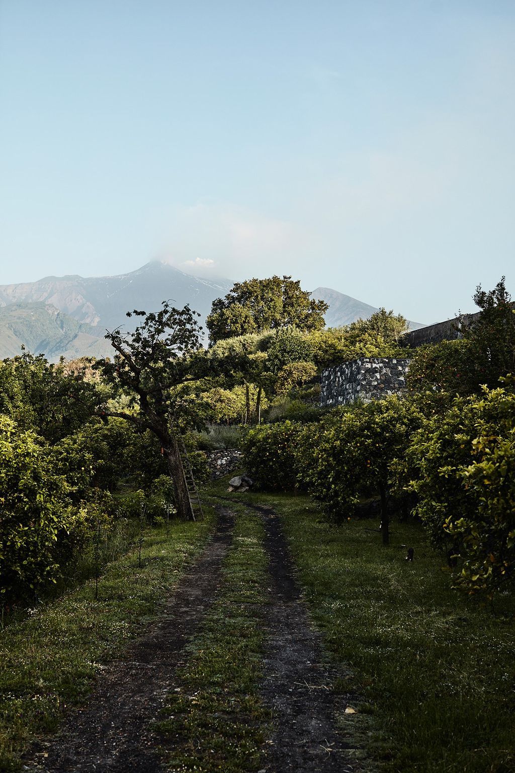 Image may contain Outdoors Nature Road Gravel Dirt Road Countryside Scenery Garden and Arbour