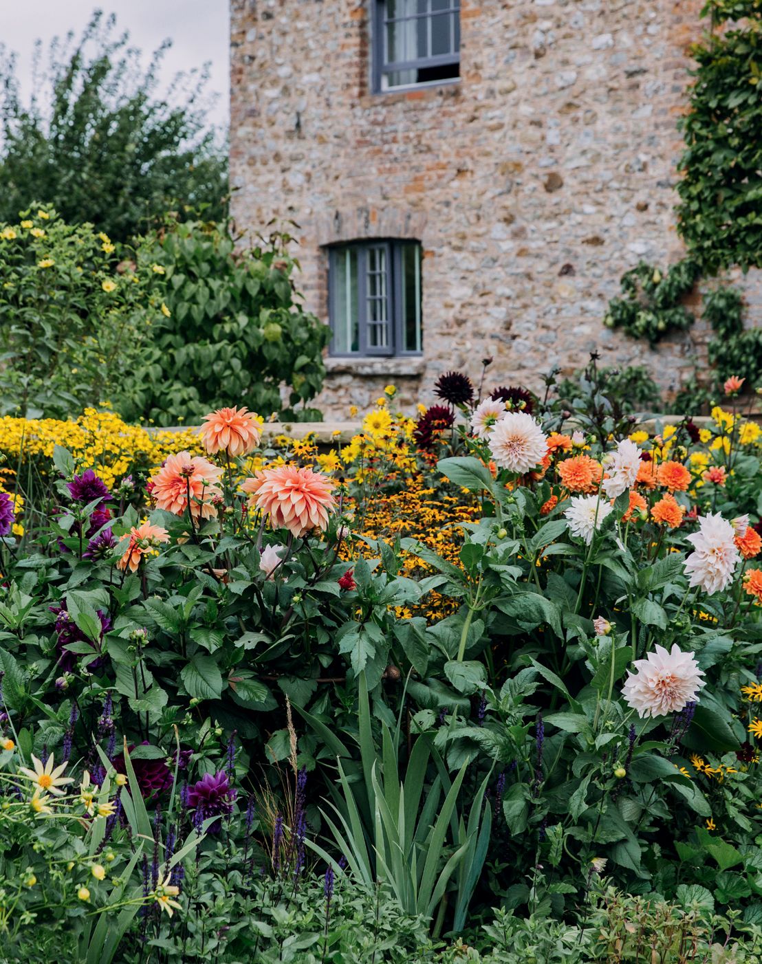 Image may contain Plant Flower Geranium Blossom Outdoors Garden and Flower Arrangement