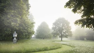 Image may contain Nature Plant Grass Outdoors Weather and Fog
