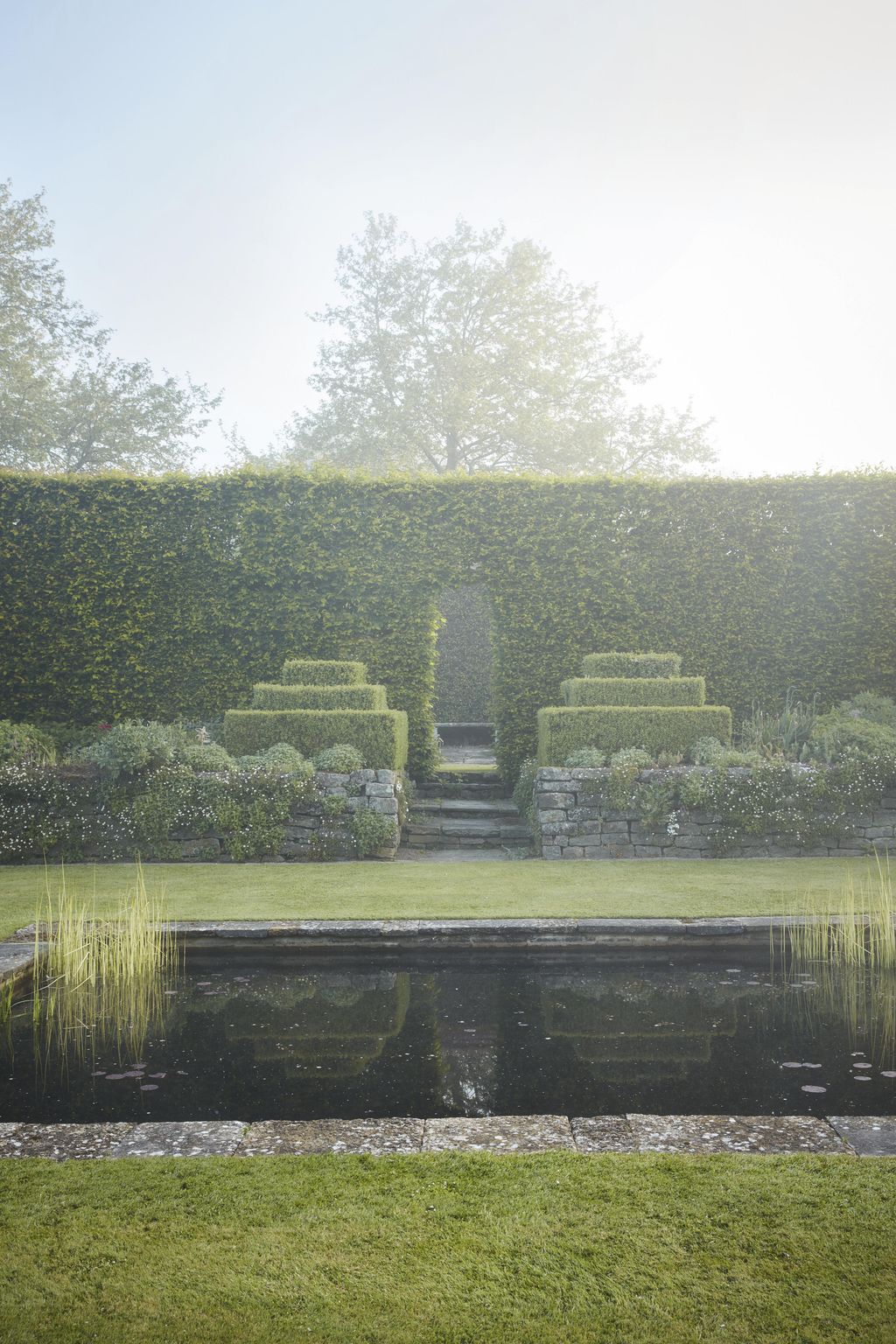 Image may contain Plant Hedge Fence and Outdoors