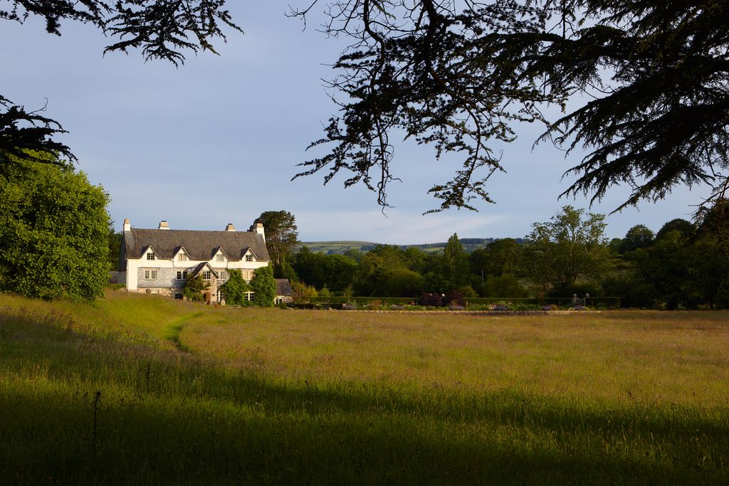 Image may contain Grass Plant Outdoors Nature Lawn Field Grassland Tree and Countryside