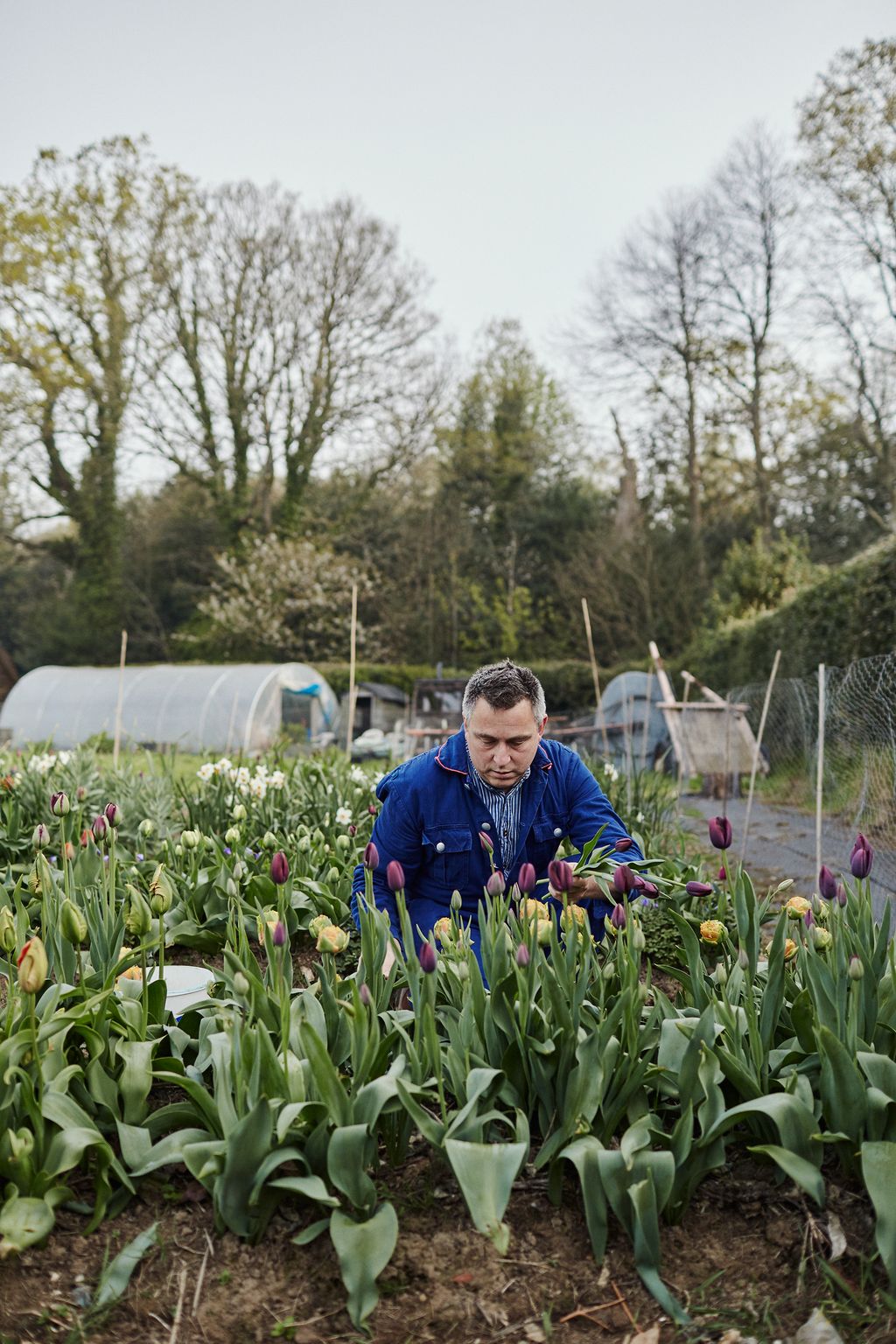 Image may contain Garden Outdoors Human Person Worker Gardener Gardening and Plant