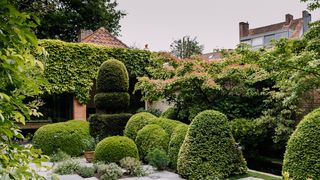 Smart ideas for small gardens