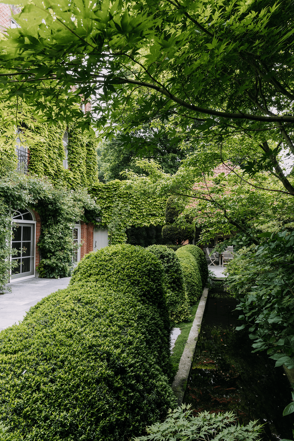 Edged by a serpentine hedge of cloudpruned box a narrow canal reflects vegetation and sky. It creates an illusion of...