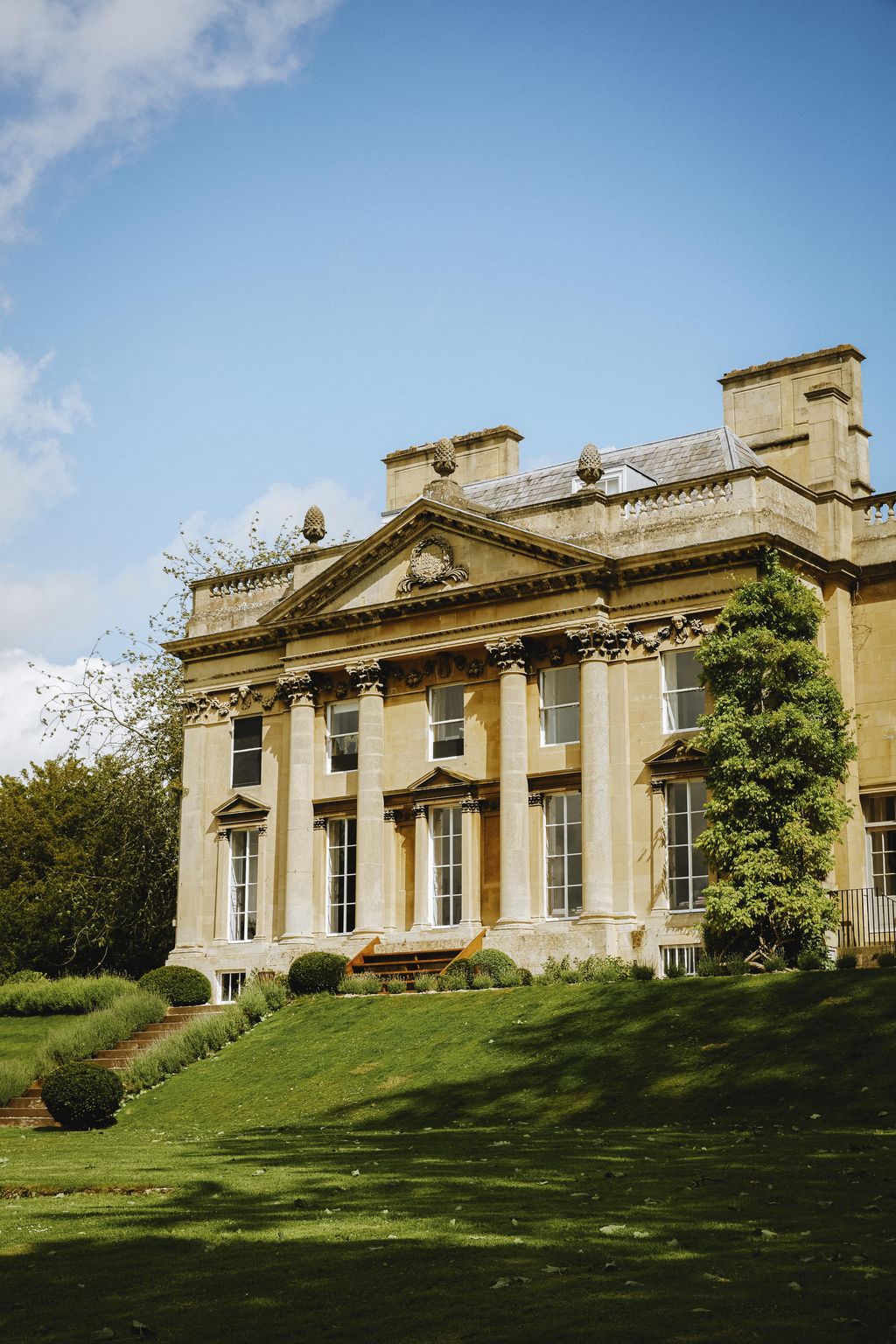 Image may contain Plant Grass Lawn and Campus