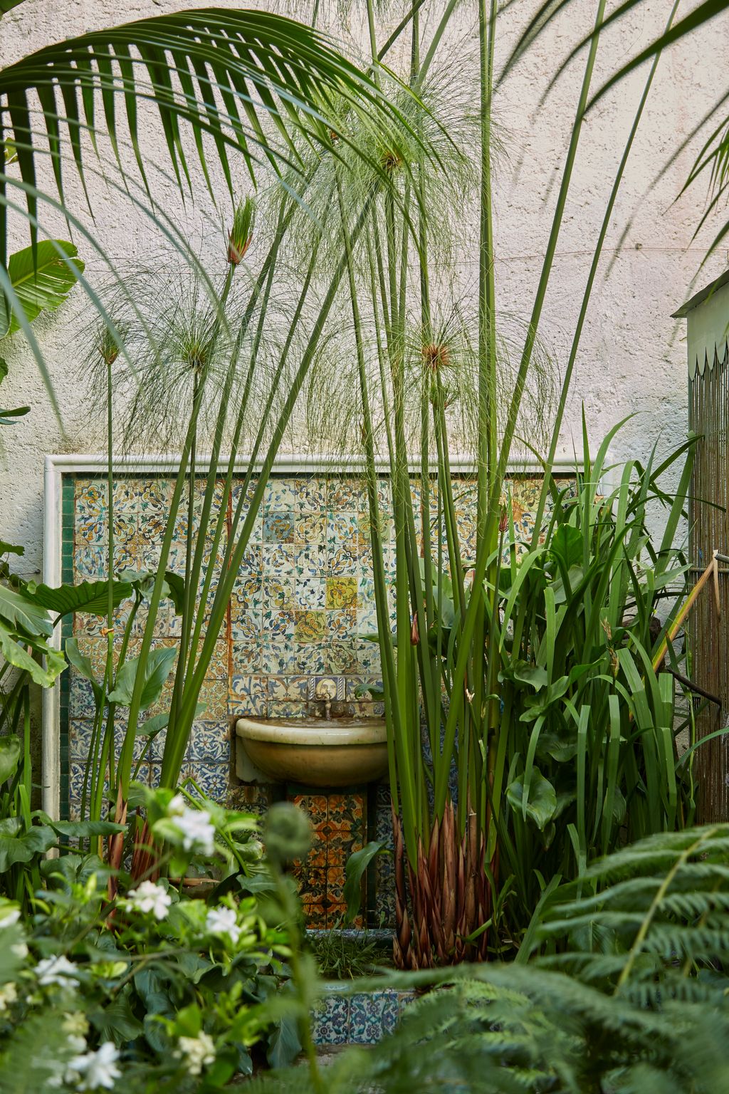 Image may contain Plant Outdoors and Garden