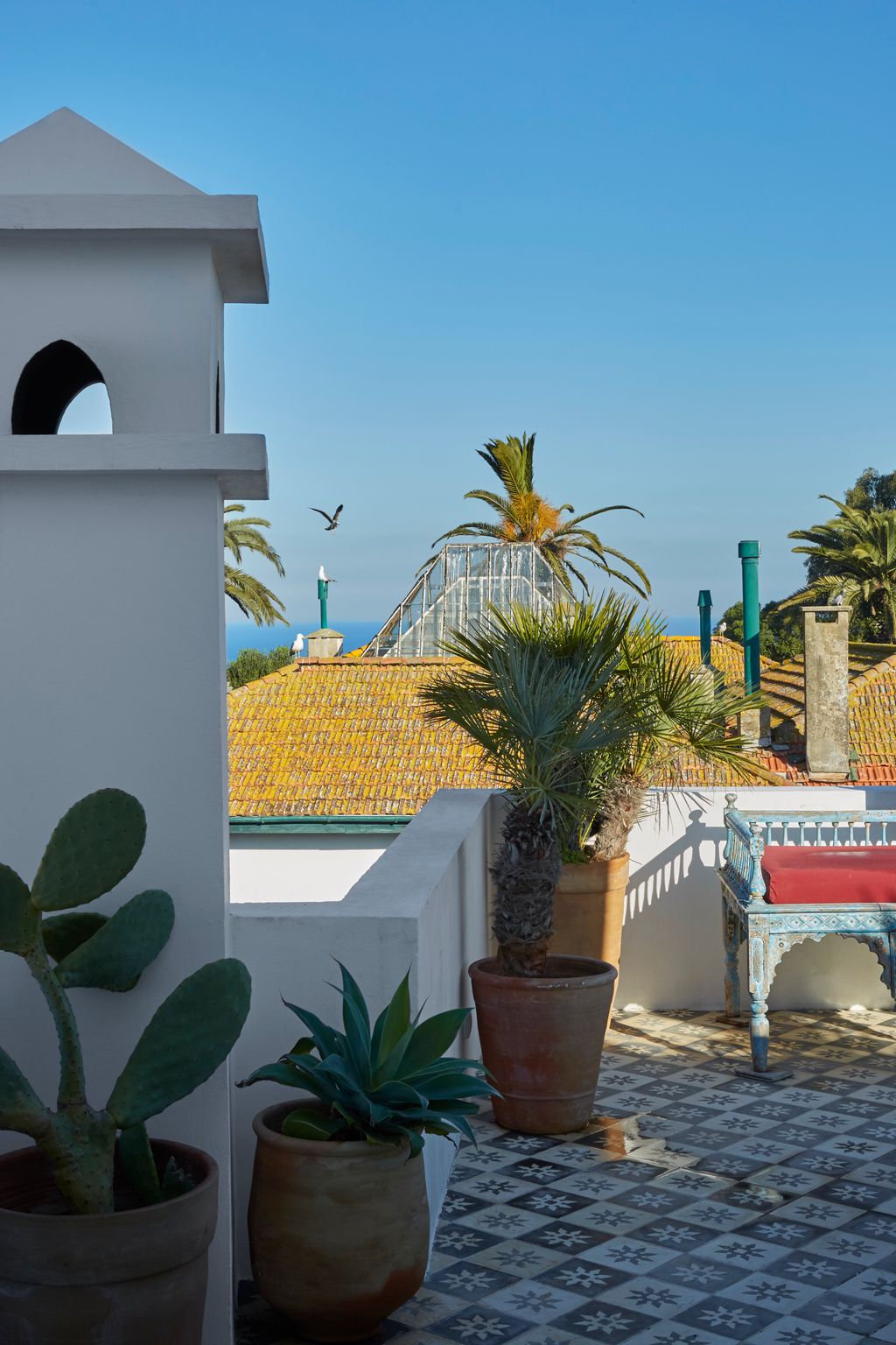 Image may contain Plant Palm Tree Arecaceae and Tree