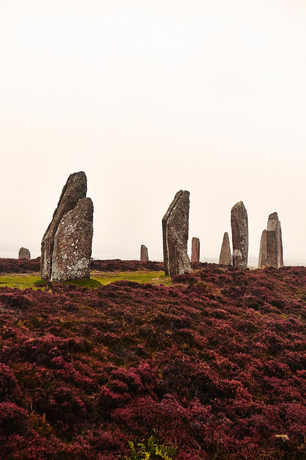 Image may contain Ground Nature and Outdoors