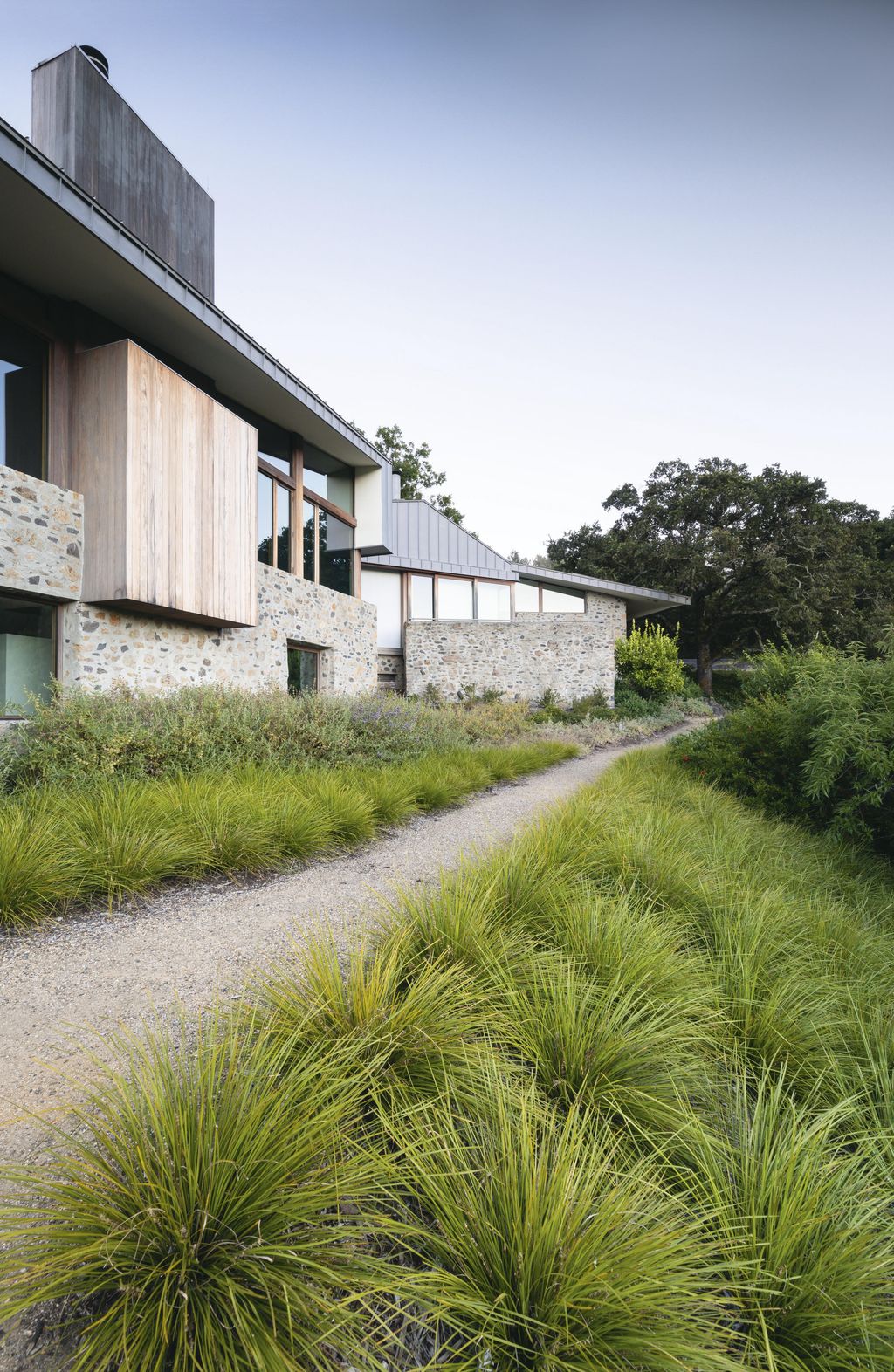 Image may contain Grass Plant Outdoors Path Vegetation and Nature