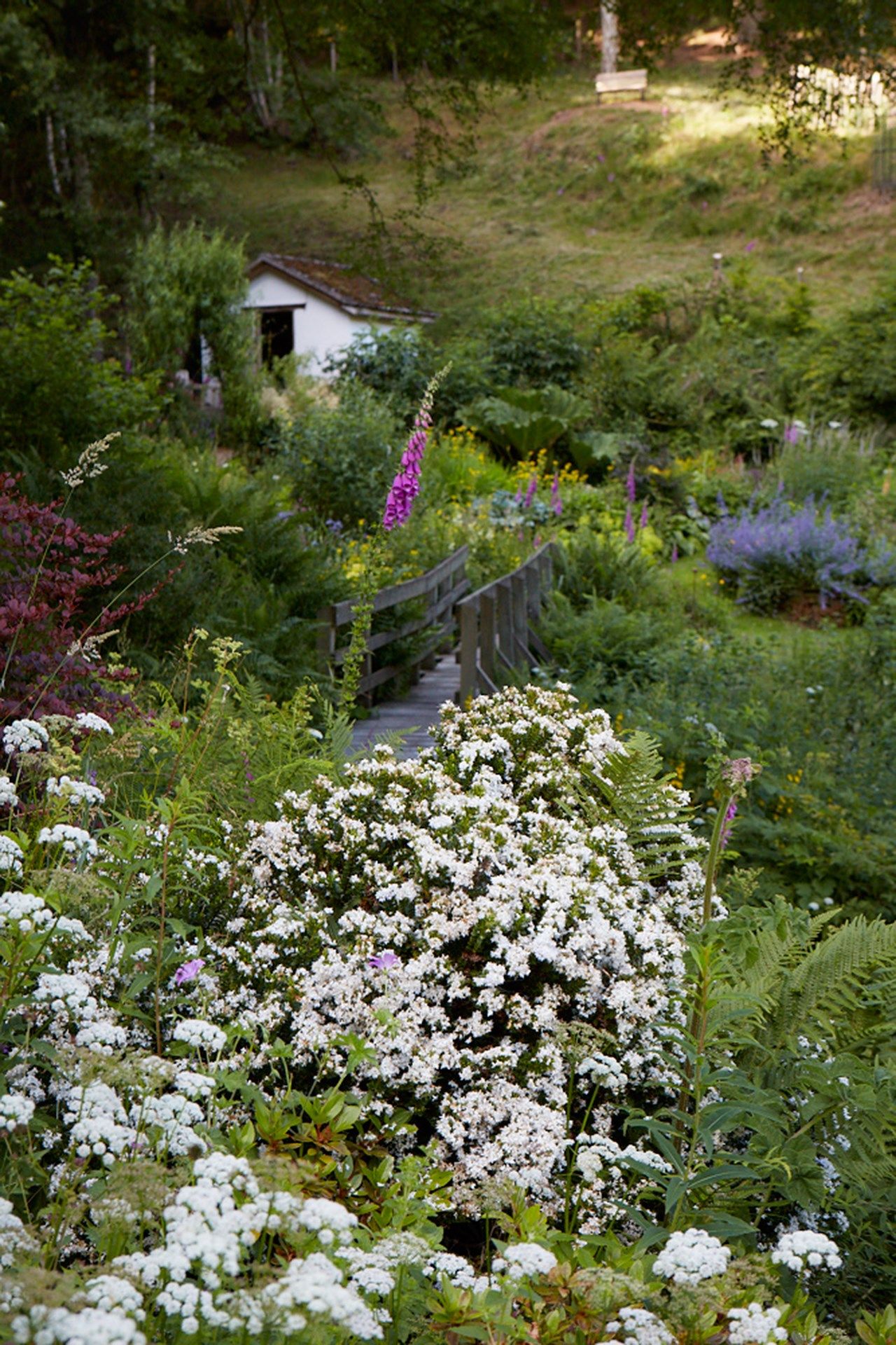 Image may contain Vase Plant Pottery Potted Plant Jar Outdoors Flower Blossom Planter Herbs Garden and Nature