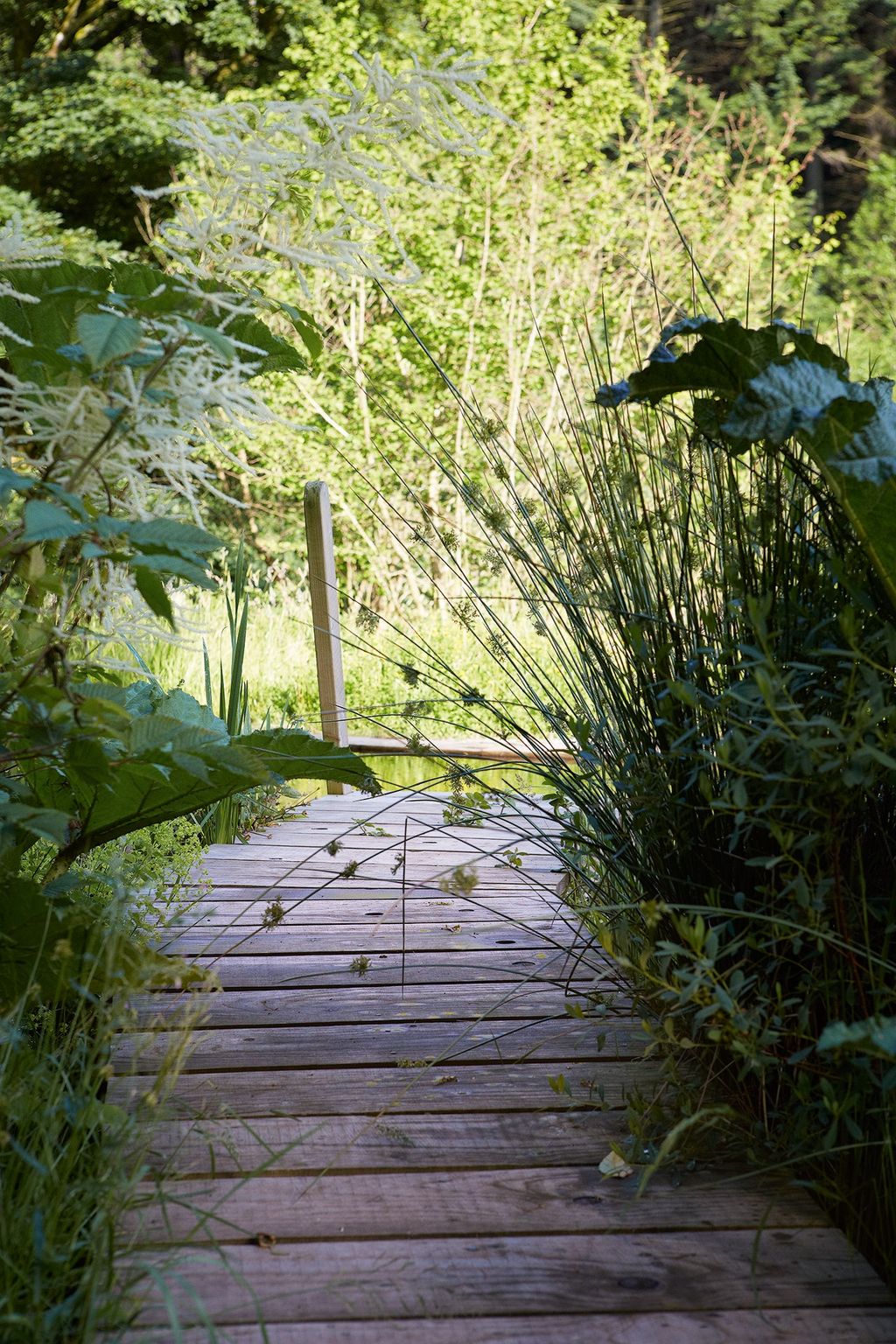 Image may contain Boardwalk Building Bridge Plant and Path