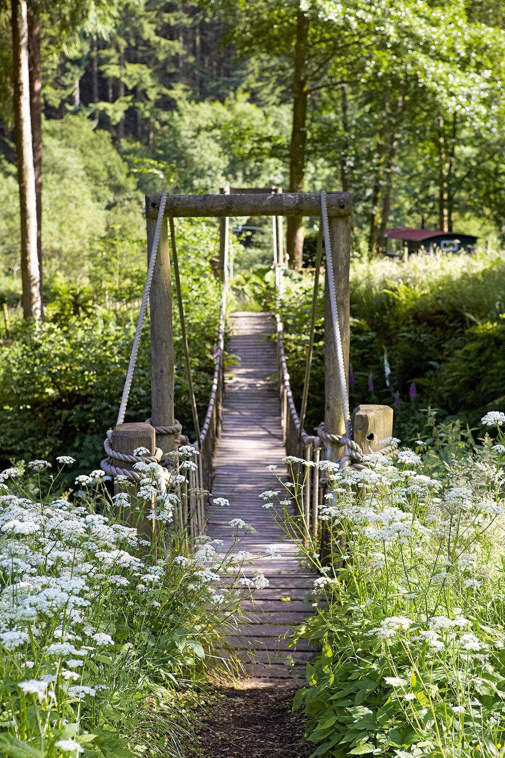 Image may contain Building Bridge Suspension Bridge Rope Bridge Garden and Outdoors