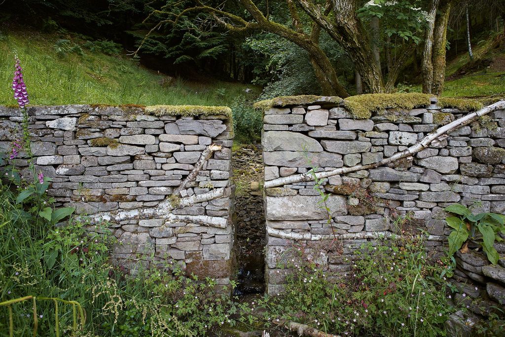 A dry stone wall designed with a branch running through it inspired by the work of artist Andy Goldsworthy was destroyed...