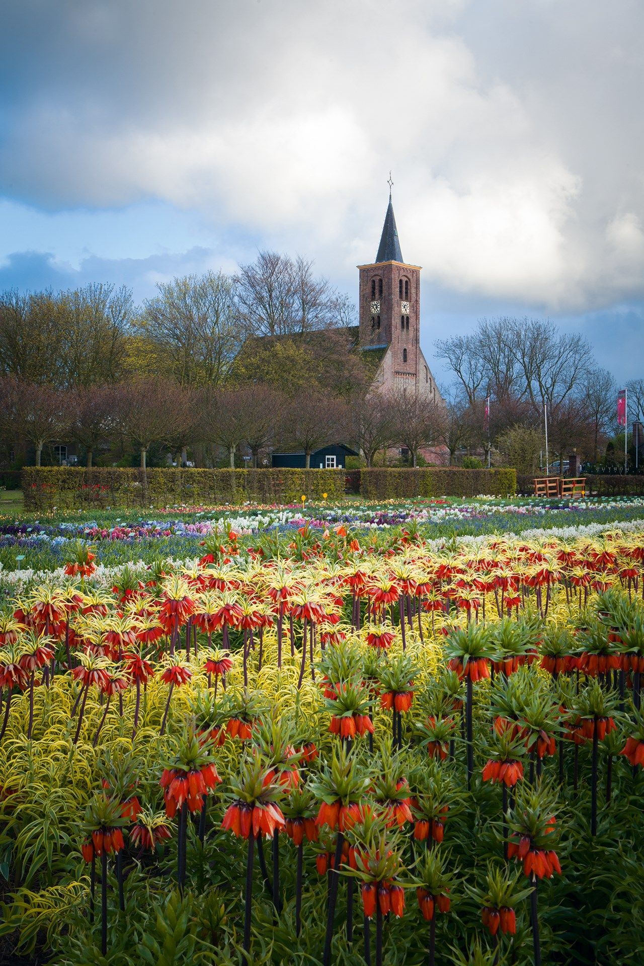 Limmen Church  Amsterdam's Rare Tulip Garden | Outdoor Spaces