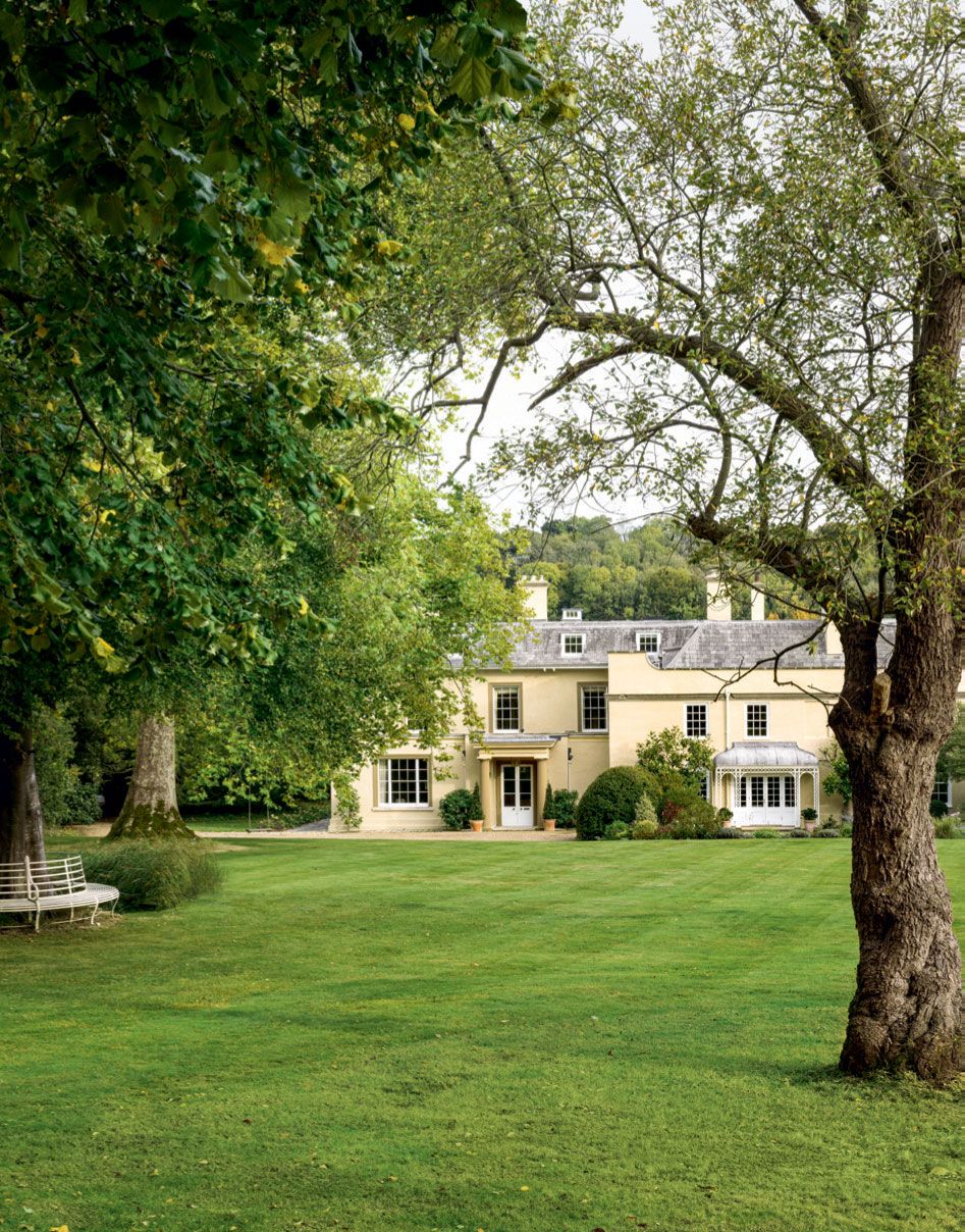 Image may contain Plant Grass Tree Tree Trunk Furniture Bench and Lawn