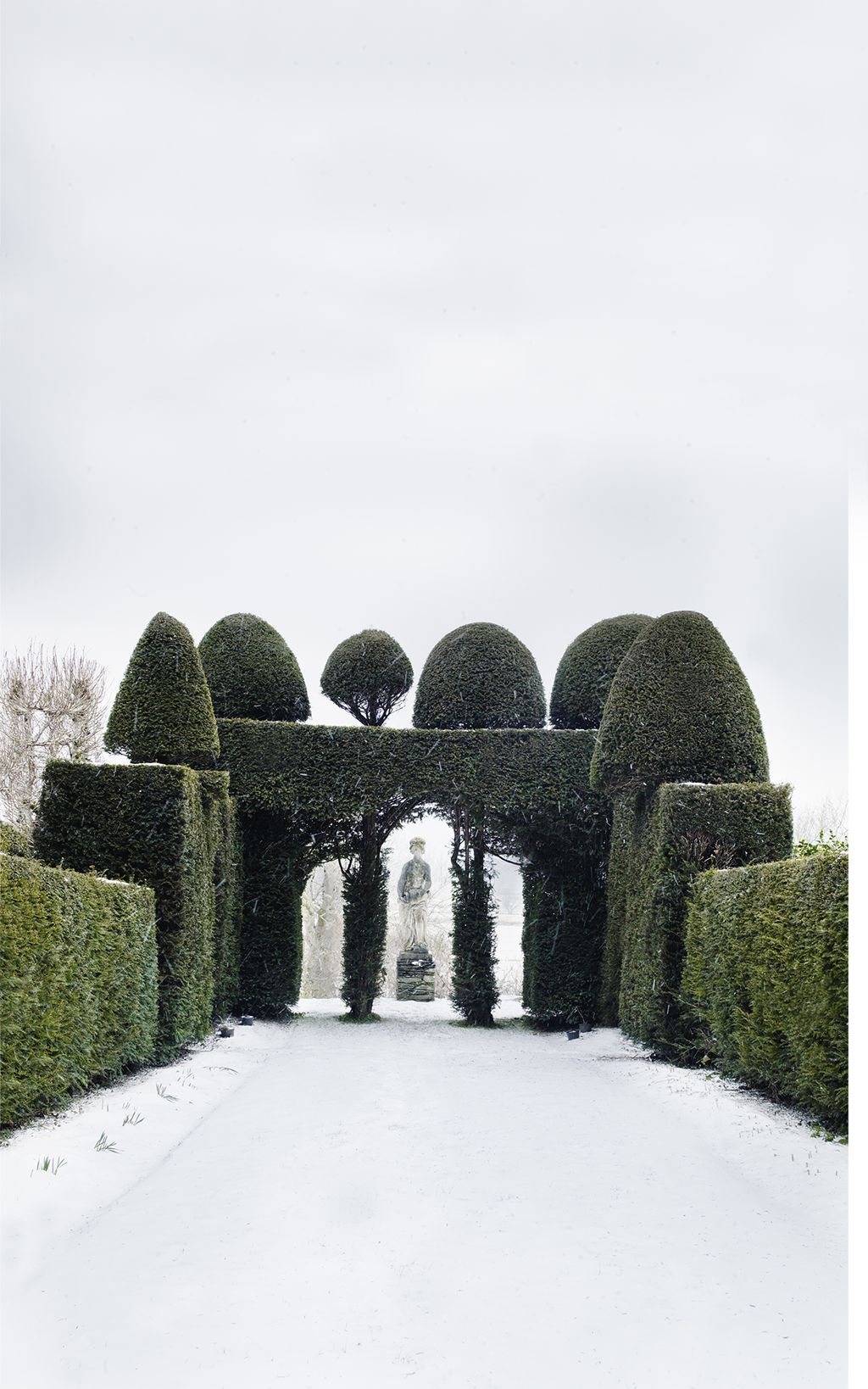 Image may contain Labyrinth and Maze