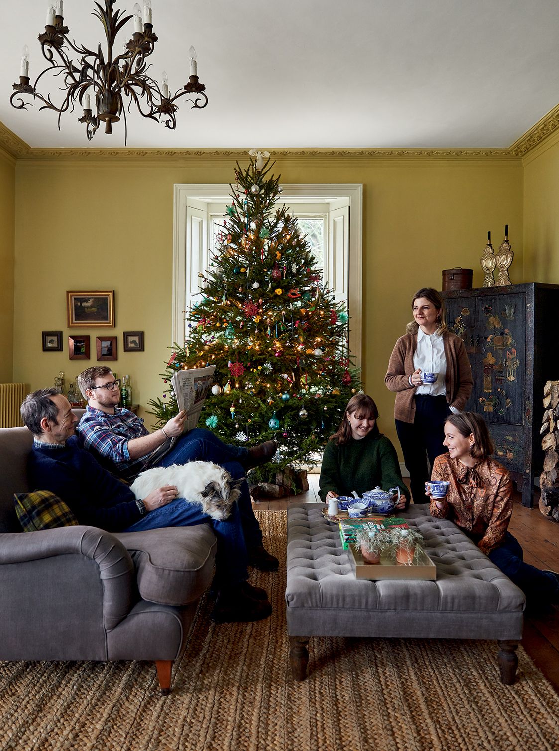 Image may contain Furniture Couch Living Room Room Indoors Human Person Tree Plant Ornament and Christmas Tree