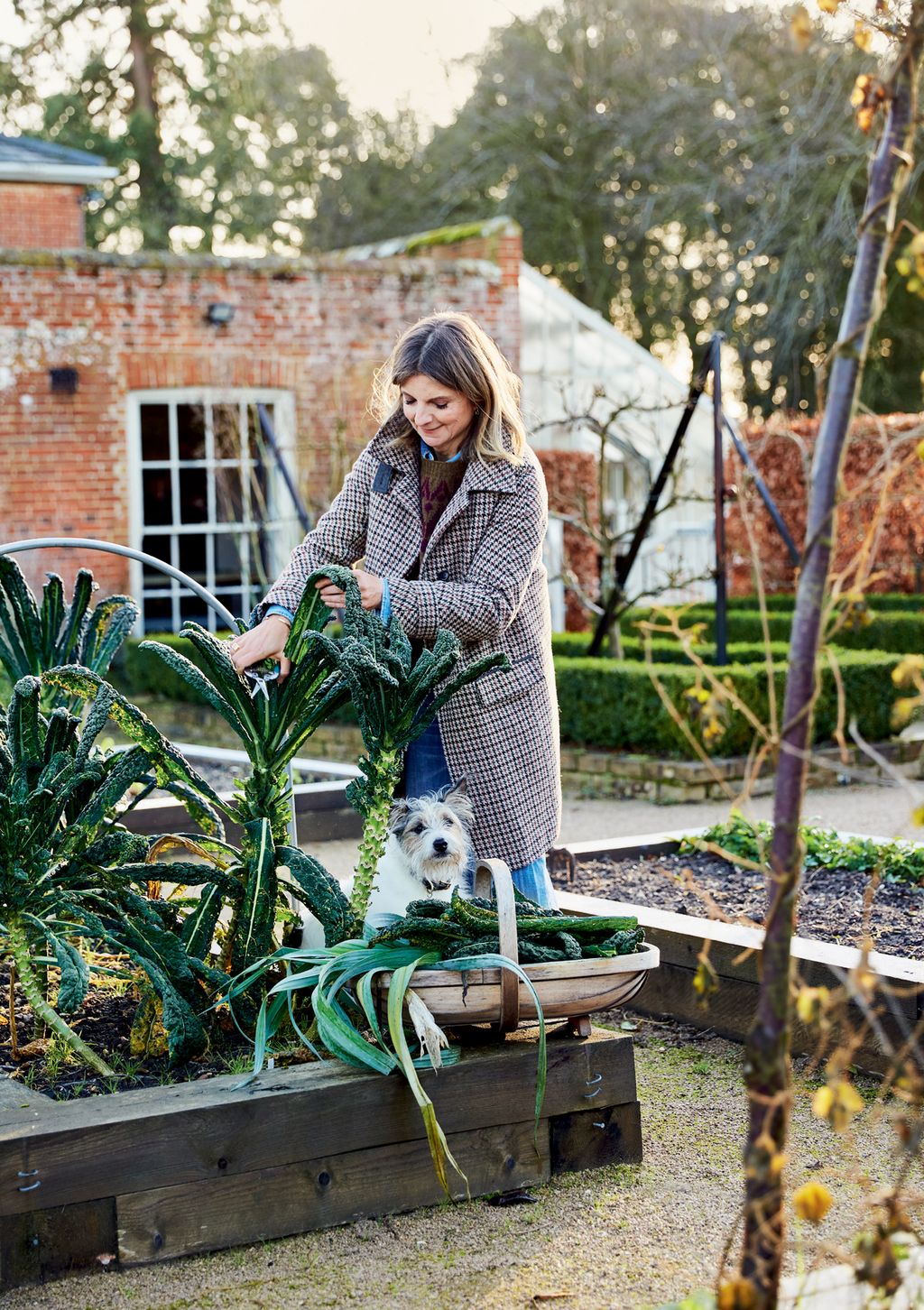 Image may contain Outdoors Garden Human Person Clothing Apparel Gardener Worker Gardening and Plant