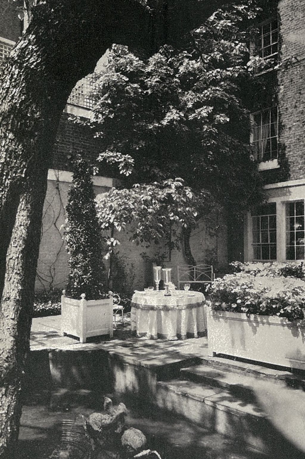 Image may contain Plant Tree Water and Outdoors