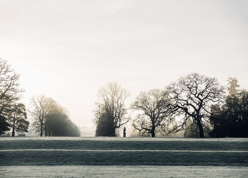 The bare outlines of trees and elegant statuary create atmospheric vistas in the soft winter light.