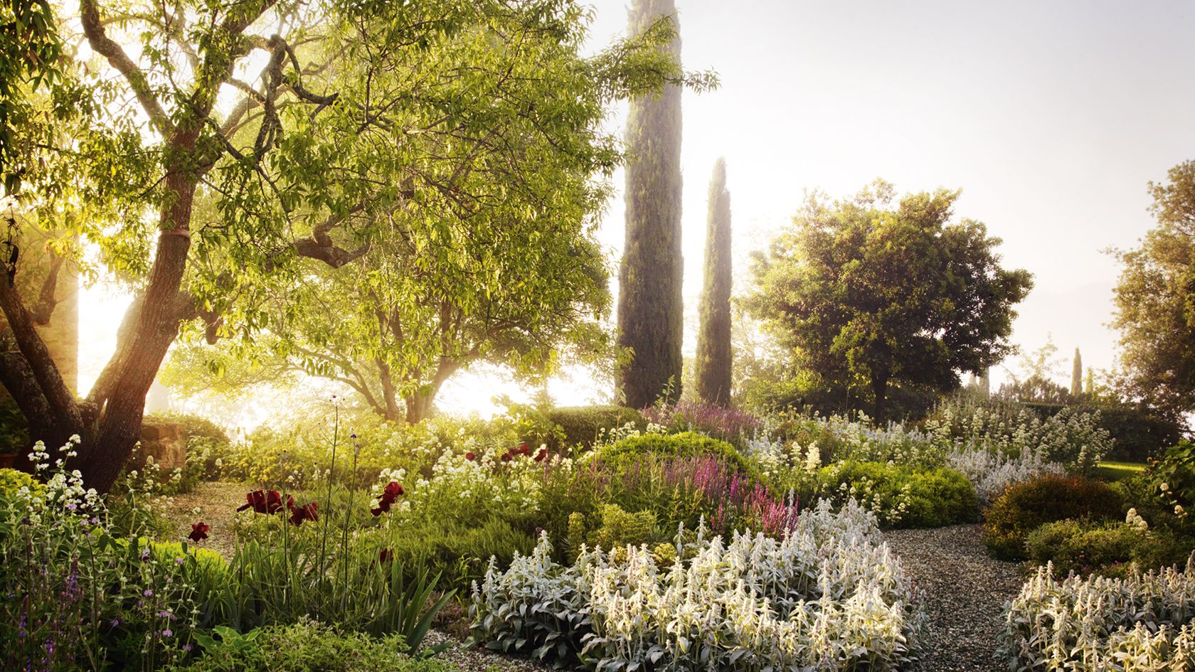 How to plant a gravel garden