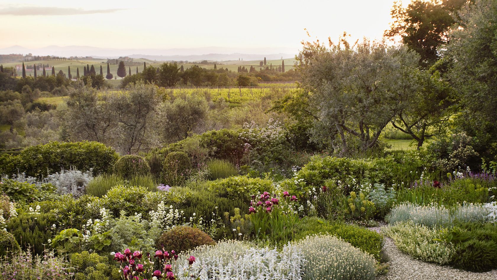 Image may contain Plant Vase Pottery Potted Plant Jar Outdoors Herbs Planter Flower Blossom Road and Garden