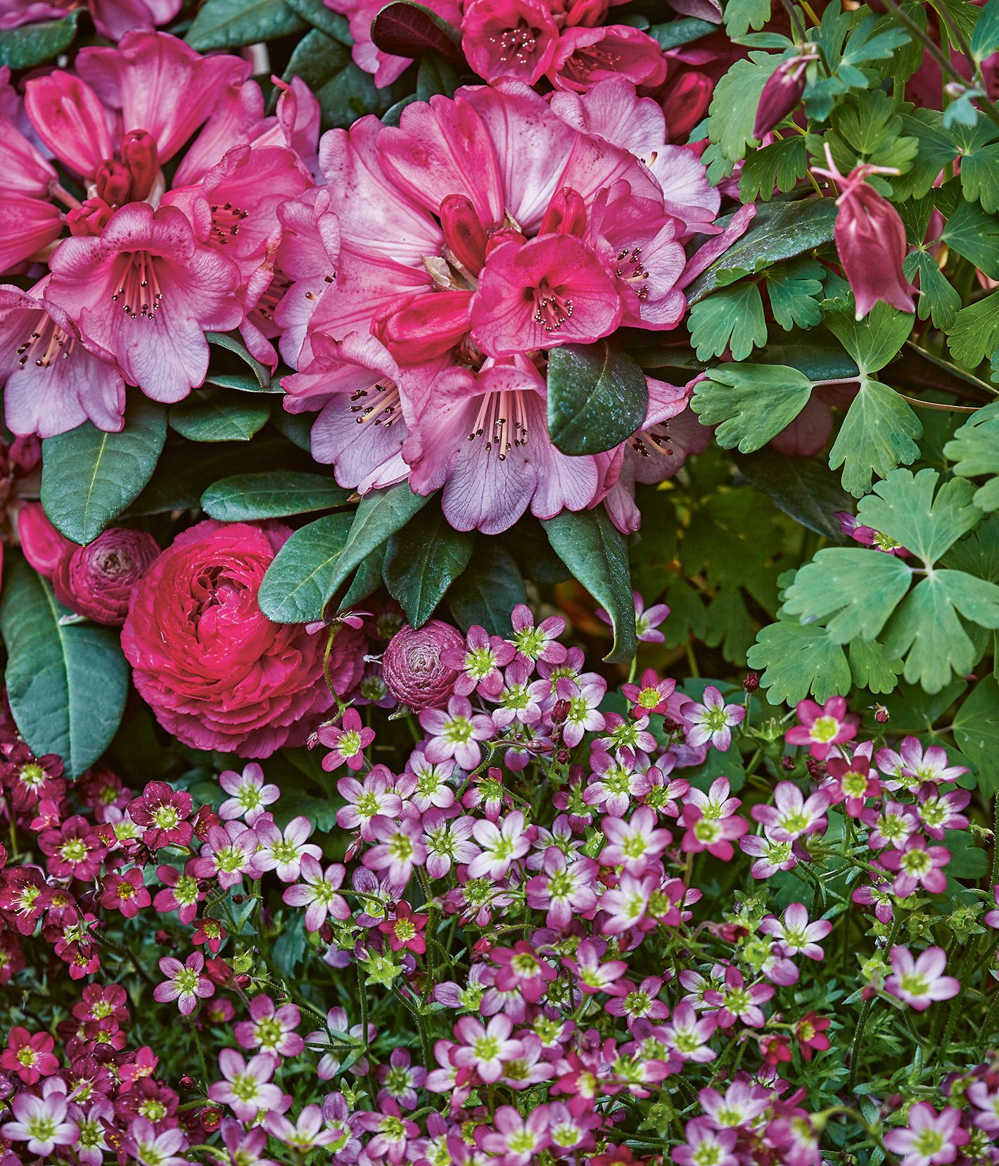 How to create spring planters